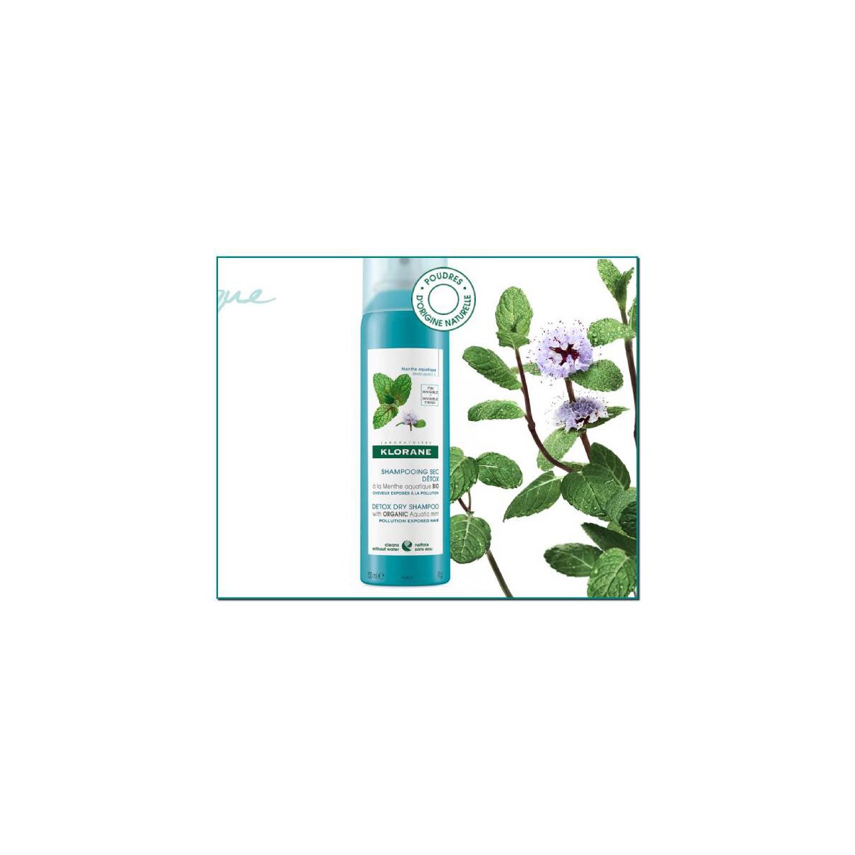 KLORANE CHAMPU SECO DETOX 50ML