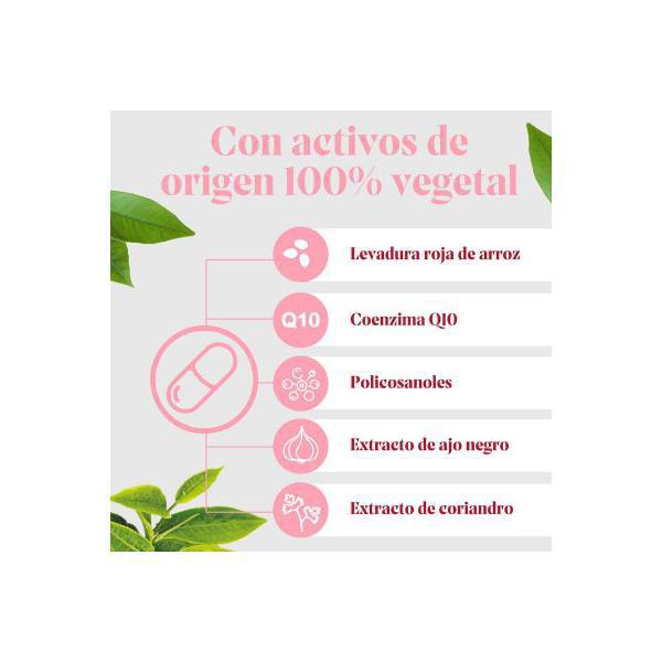 ARKOSTEROL PLUS 30 CAPSULAS