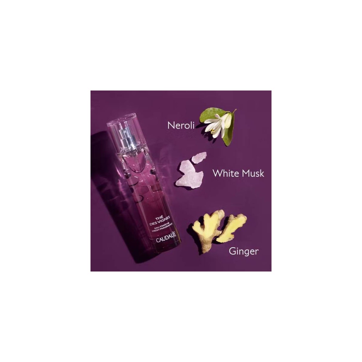 CAUDALIE EAU FRAICHE THE DES VIGNES 100ML