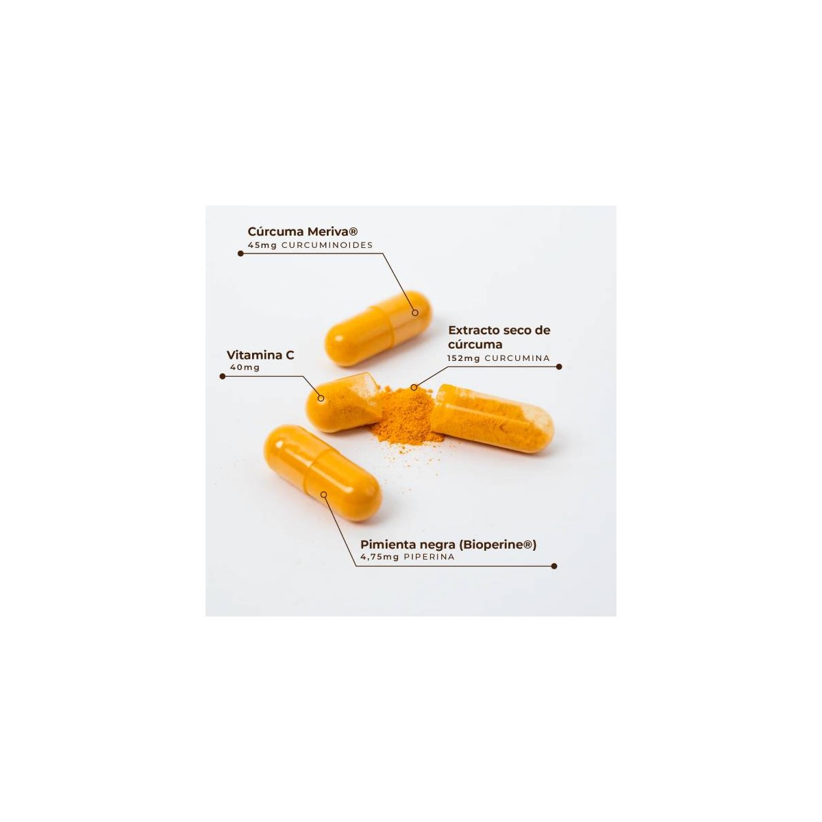 KOBHO CURCUMA + PIMIENTA NEGRA 60 CAPS