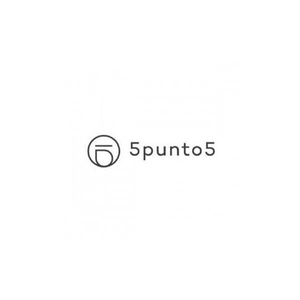 5PUNTO5
